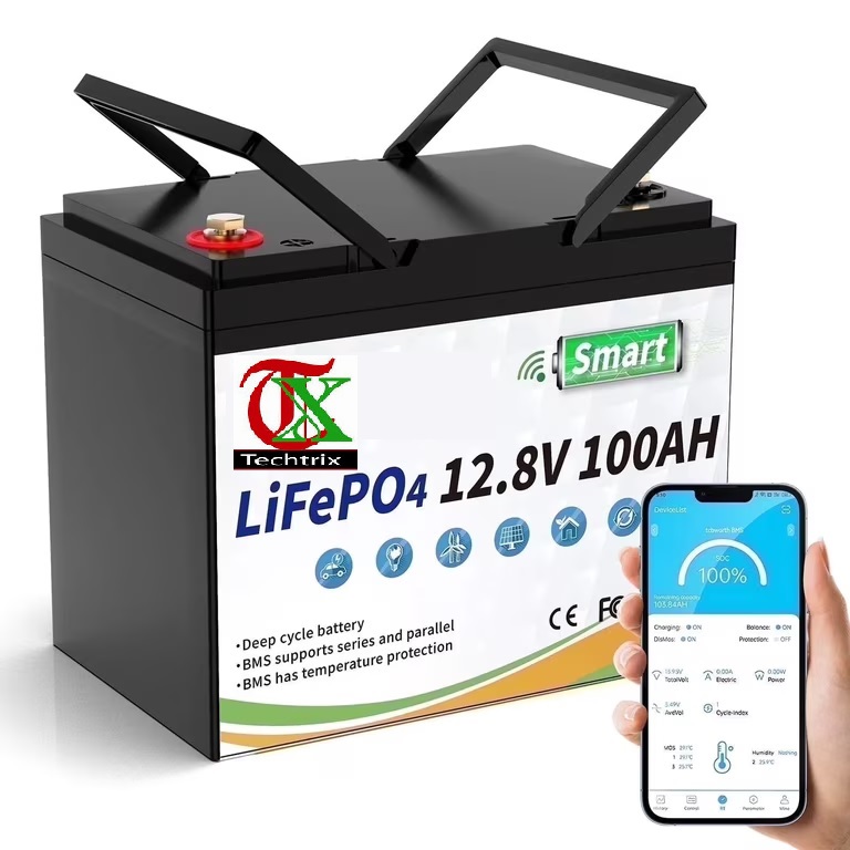 12V 100Ah LiFePO4 Lithium Battery with 5000+Deep Cycles,Smart 100A BMS
