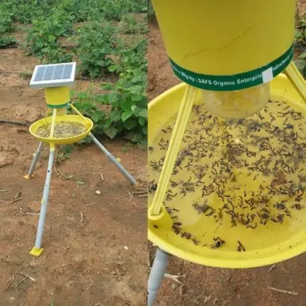 Solar Insects Trap